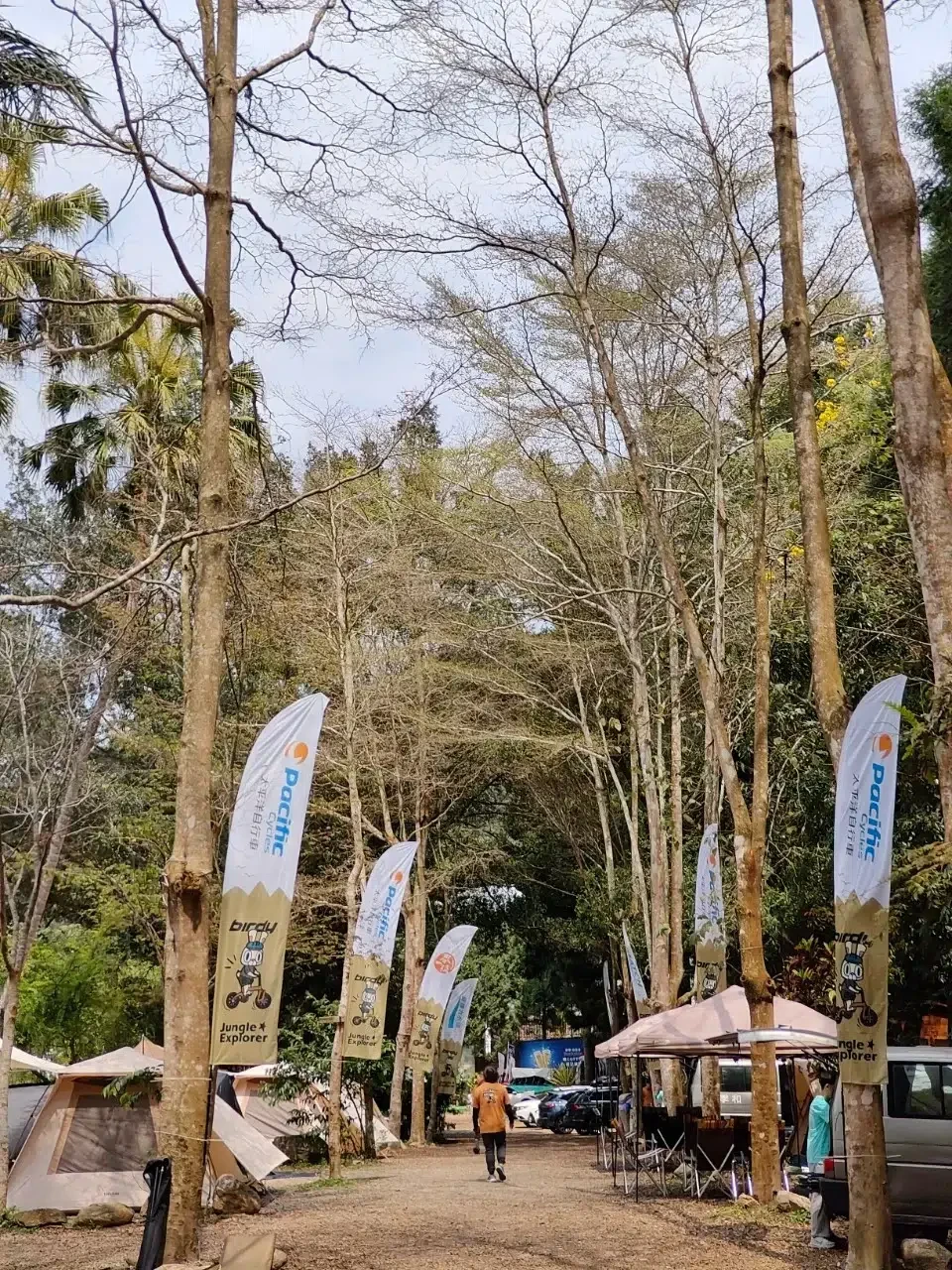 BIRDY Jungle Explorer 打造露營活動新體驗 BIRDY Jungle Explorer 打造露營活動新體驗