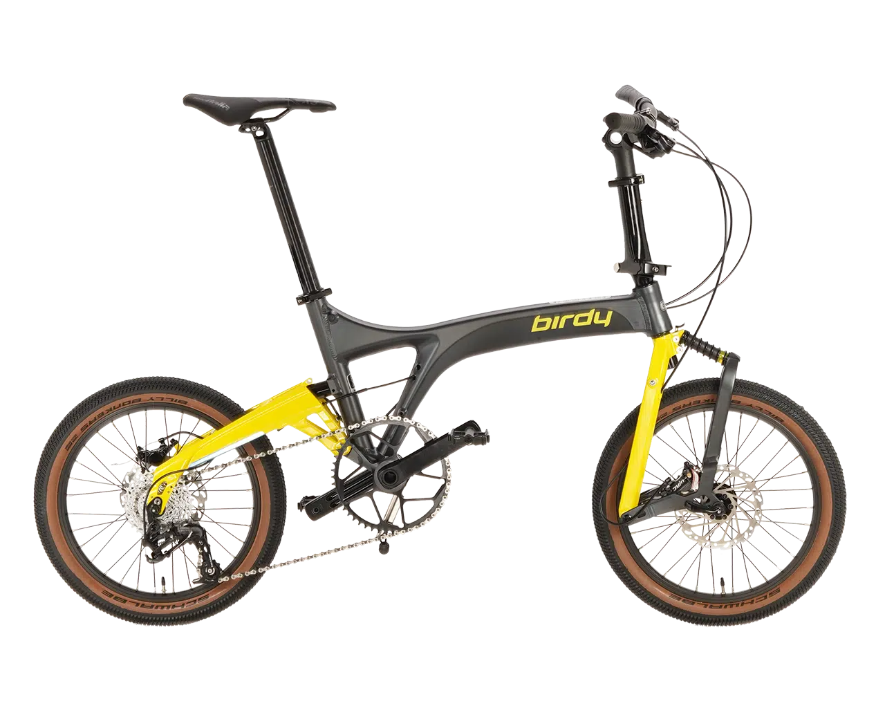 BIRDY GV Plus-P000384