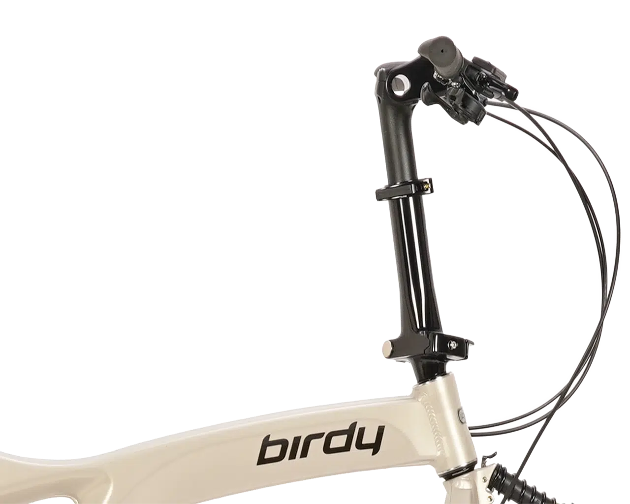 BIRDY R20