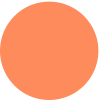 Matte Orange