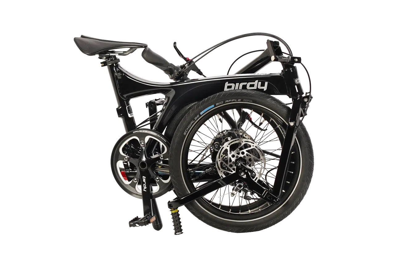 BIRDY Rohloff-P000276