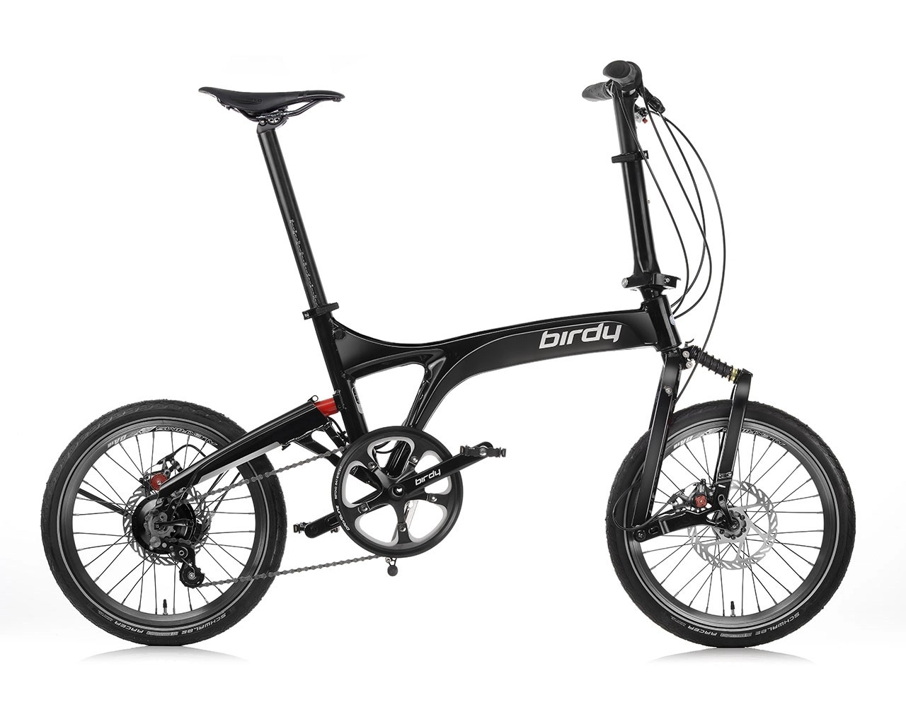 BIRDY Rohloff-P000276