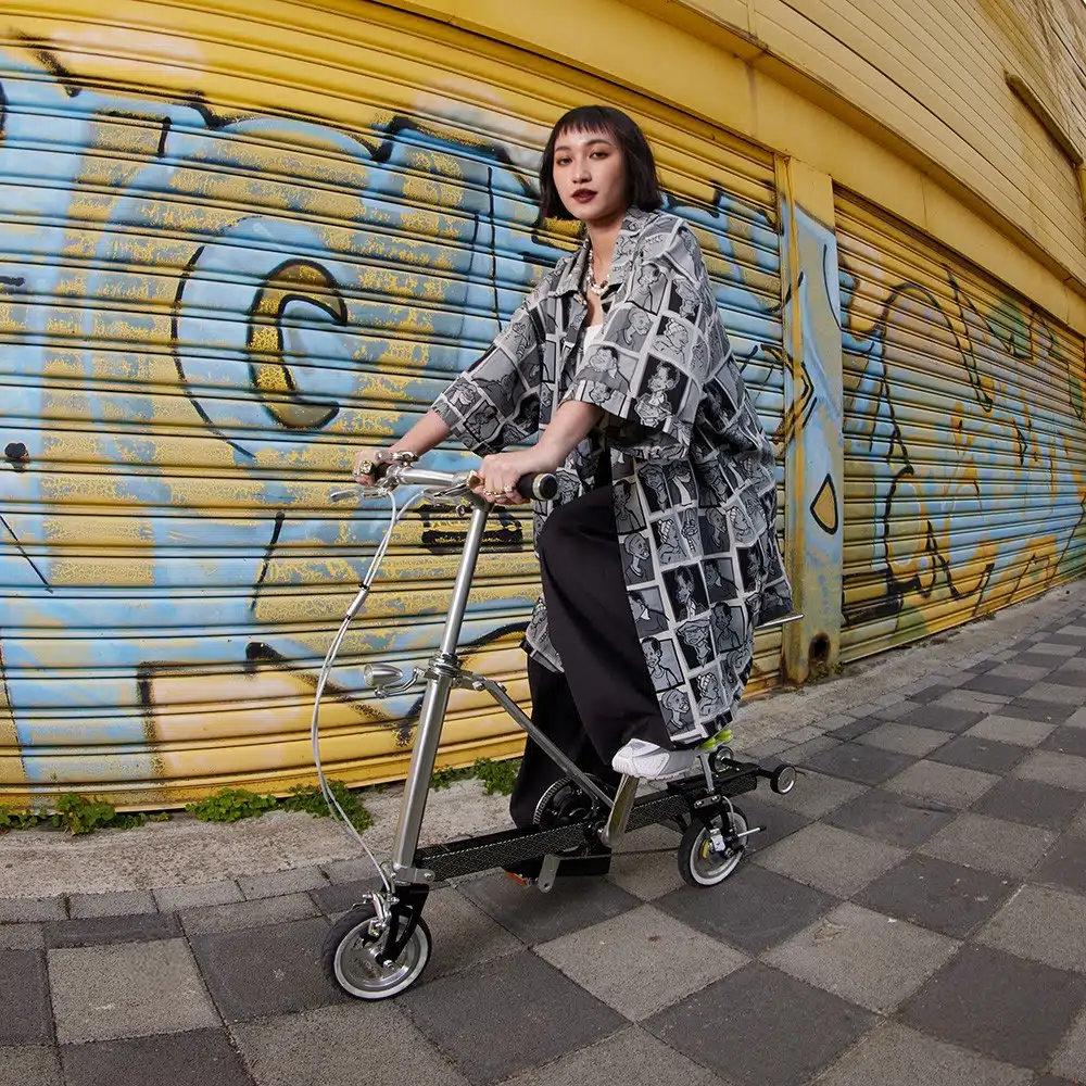 SEic CarryMe Permium