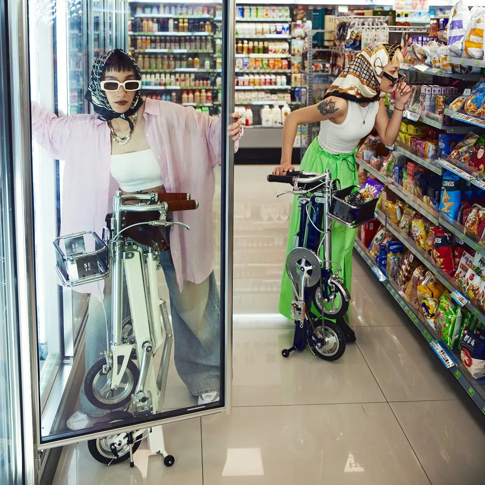 SEic CarryMe Classic SEic CarryMe Classic