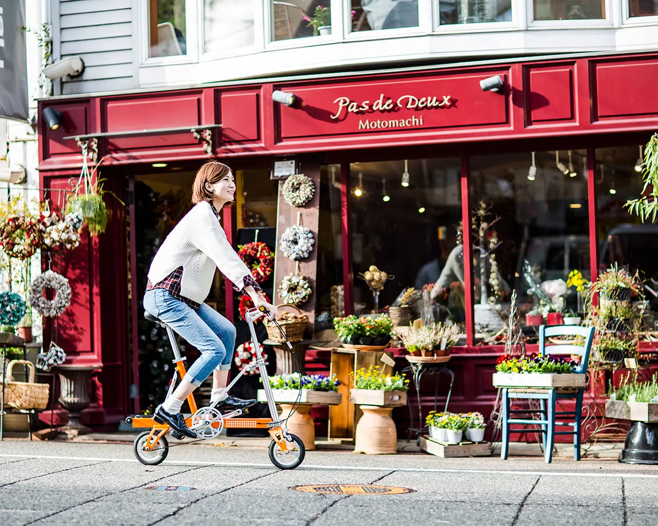 CARRYME SD CARRYME SD