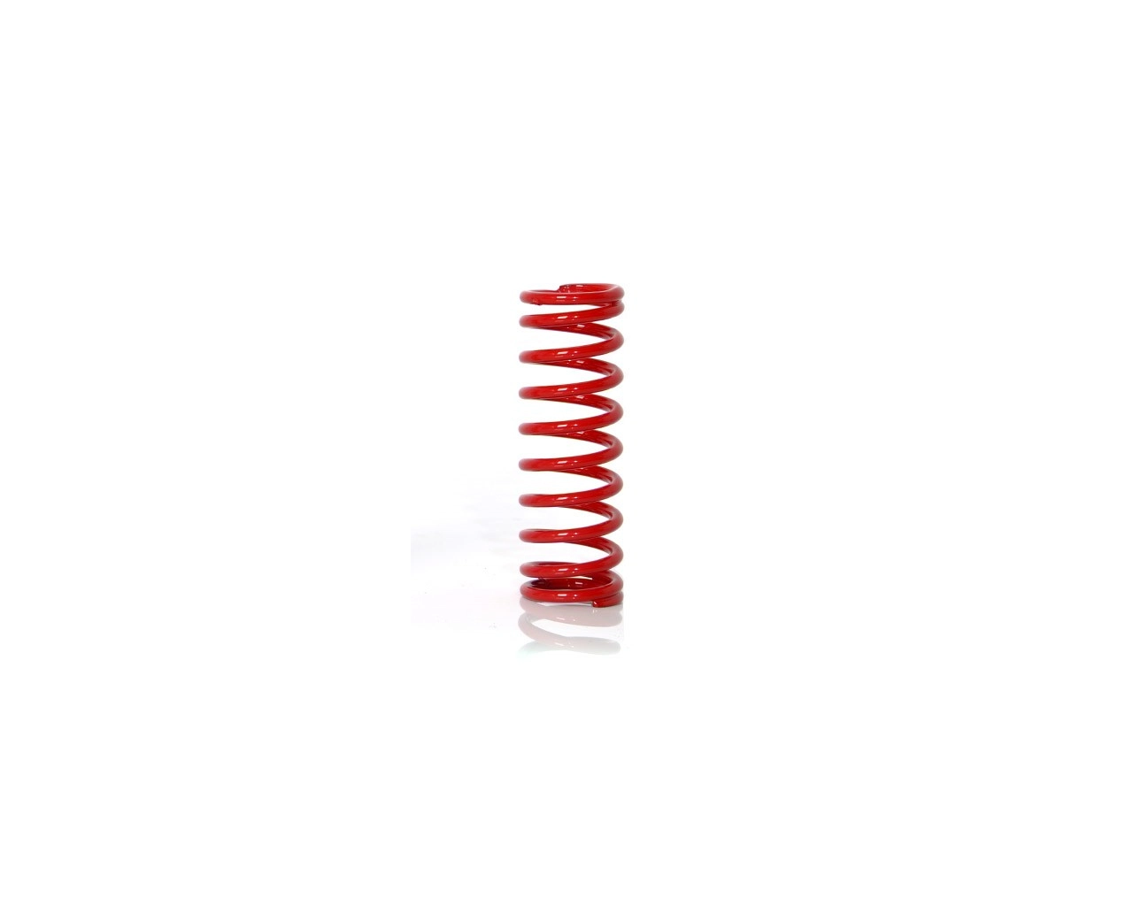 BIRDY Front Spring 10.5 Coil-P000092