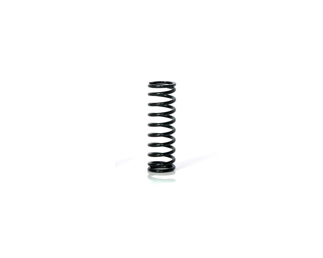 BIRDY Front Spring 10.5 Coil-P000093