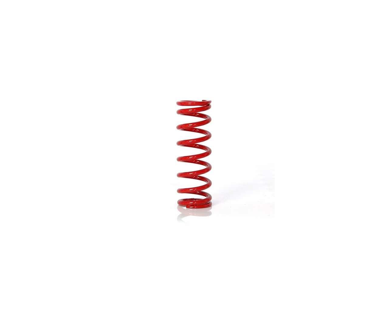 BIRDY Front Spring 8.5 Coil-P000094