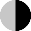 Silver/Black